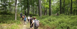 Kids hiking into woods with day packs on their backs